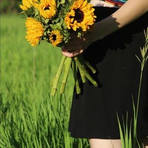 Meet your Posher, Laney